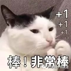 DƬ